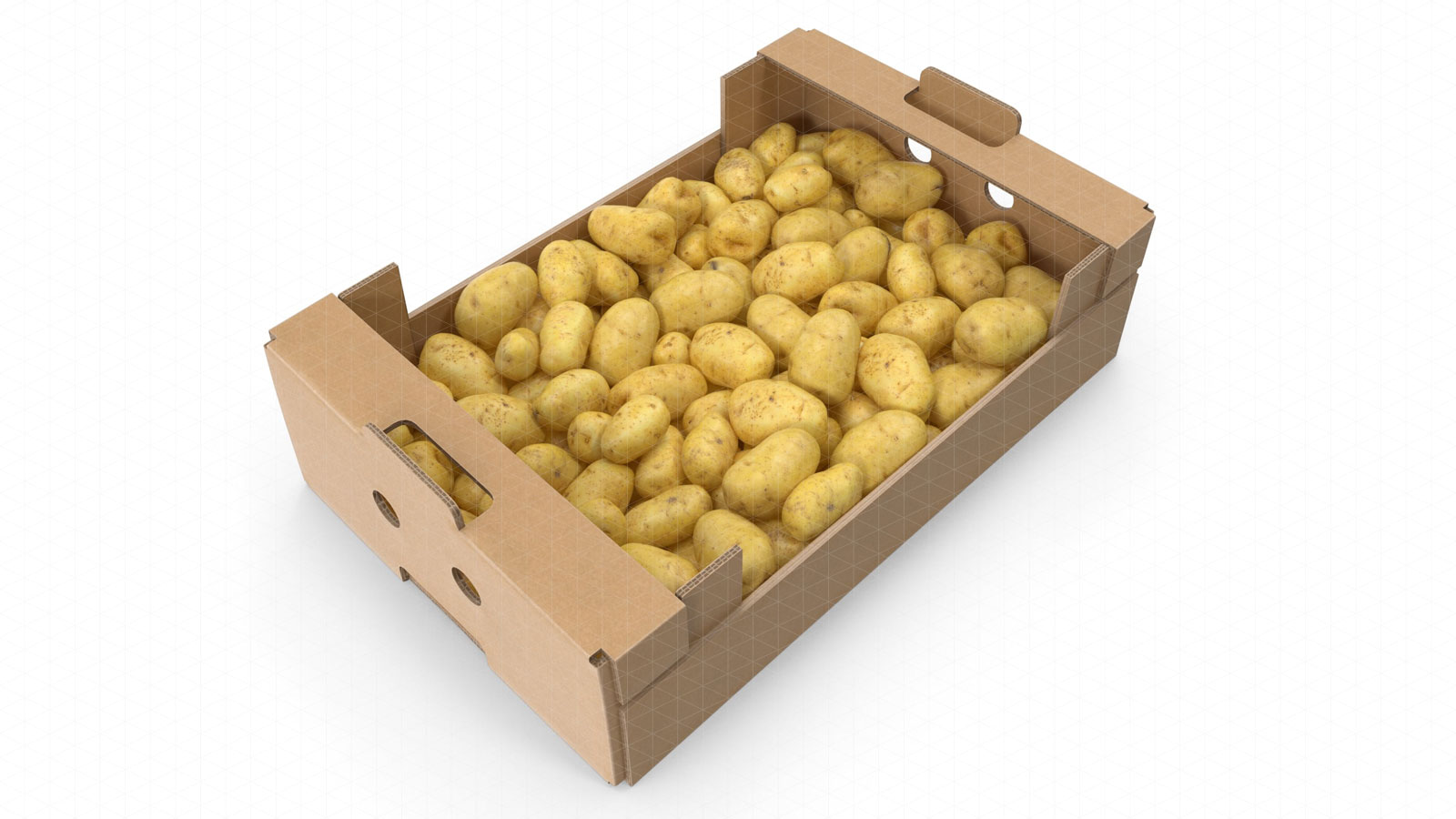 Macfrut 2021 potato